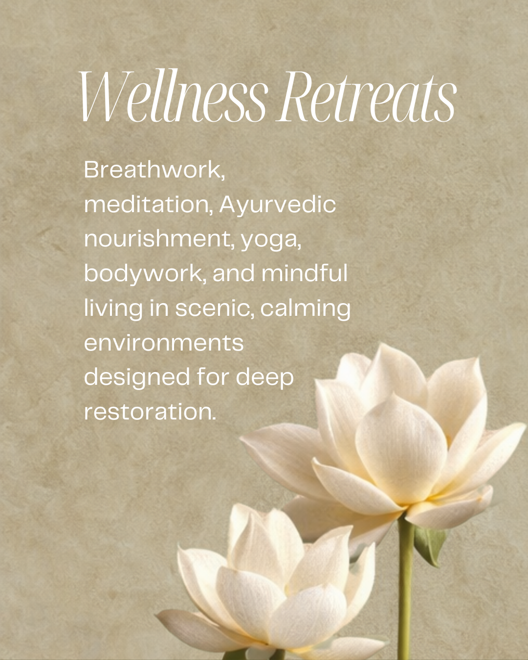 Aum Gram wellness retreats